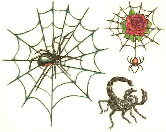 Spider & Scorpion Tattoo